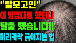 탈모 이 방법대로 했더니 탈출!! 머리카락 굵어지는 법