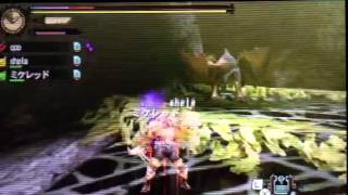 【Monster Hunter 4】モンスターハンター4　ゲリョスを狩猟せよ！