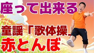 高齢者向けのやさしい体操【秋の童謡　赤とんぼ】歌体操　椅子に座ったまま出来る簡単なリズム体操　ご自宅や高齢者施設やデイサービスでも使える　健康体操　介護予防