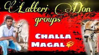 Latteri Don groups challa magal 🎉💖🎉