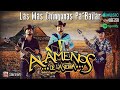 Los Alameños de La Sierra ~ Popurri Cumbias y Huapangos MIX ~ Bailemos Con Alameños