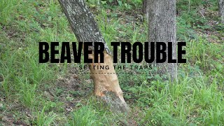 Beavers Are Destroying The Property