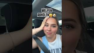 KOMM MIT unseren …. ABHOLEN!🥺🐶 #shortvideo #shortfeed #lustig #comedy #funny #welpe #petfluencer