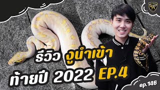 รีวิวงูบอลนำเข้าท้ายปี 2022 EP.4【 EP.146 | 4K 】#realityballpython