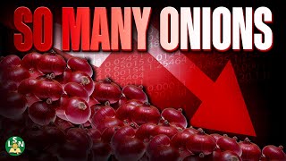 The Scam that Made Trading Onion Futures ILLEGAL