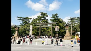 1年1次神在月 我在光棍節參加出雲大社緣結大祭  一次拜完日本800萬神明 讓你結好緣好幸福