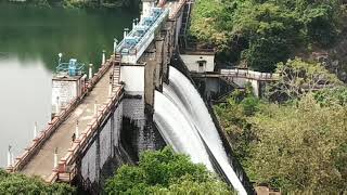 തൃശ്ശൂർ പീച്ചീ ഡാം .... . . . . . . Thrissur peechi dam....