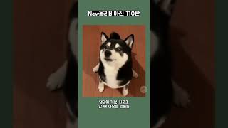 New올리비아진 110탄