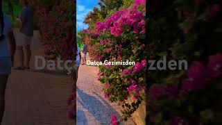 Datça Gezimizden #subscribe #keşfet #summer #shorts #shortvideo