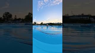 Smooth and efficient freestyle swimming - the glide technique #swimming