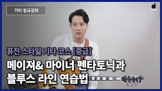 🦋[기타레슨] 메이져 펜타토닉과 마이너 펜타토닉을 섞은 블루스 라인 연습방법에 대해 알아봄🎸 ㅣ기타연습 기타커버 GuitarSolo GuitarCover🦋