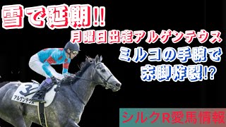 シルクレーシング一口馬主のリアル2025No12【アルゲンテウス結果】