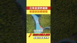 在一起三年我們從沒吵過架,老婆卻說要離婚,我同意後竟發生這樣的事情【年華妙語】#落日溫情 #情感故事 #花開富貴 #深夜淺讀 #深夜淺談 #家庭矛盾 #爽文