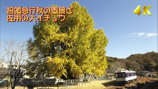 【4K60P】ローカル線彩の秋  智頭急行と姫新線