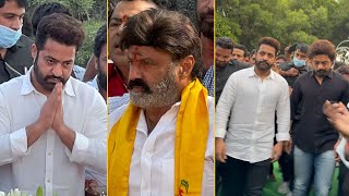 Jr NTR, Balakrishna and Kalyan Ram Visuals @ NTR Ghat | Sr NTR Jayanthi | Manastars