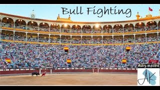 Bull Fighting