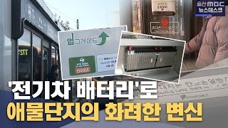 애물단지의 화려한 변신‥ 똑똑한 '특허 등록' (2025.01.02/뉴스데스크/울산MBC)