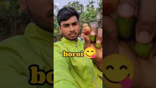 এই বছর প্রথম বড়ই খেলাম 🫒 #minivlog #vlog #trending #capcut #shorts