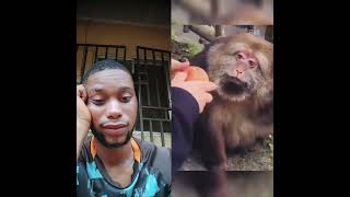 Monkey smiled 😁😁😁 #reals #monkey #smile #viral #trending #fypyoutube #fypage #love #usa #nigeria