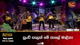 පුංචි පැලත් මේ කාලේ මාළිගා