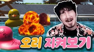 그저 오리를 지켜보기만 하는 게임