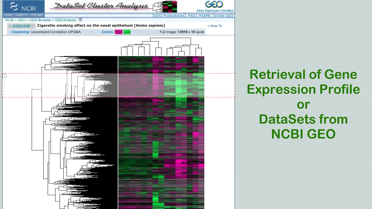 Retrieval Of Gene Expression Profile Or DataSets From NCBI GEO - YouTube