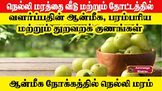 நெல்லி மரத்தை வீடு மற்றும் தோட்டத்தில் வளர்ப்பதின் ஆன்மீக, பரம்பரிய மற்றும் துறவறக் குணங்கள்