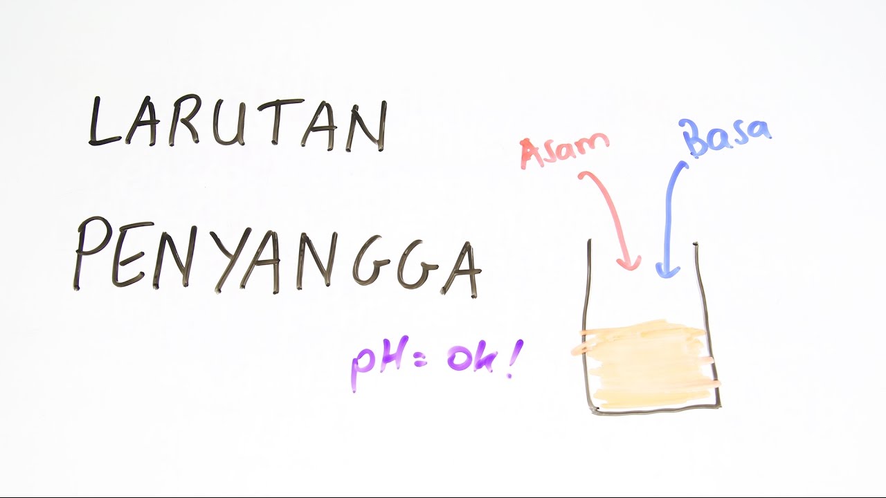 Apa Itu LARUTAN PENYANGGA? (Buffer Solution) - Kimia Kelas XI - YouTube