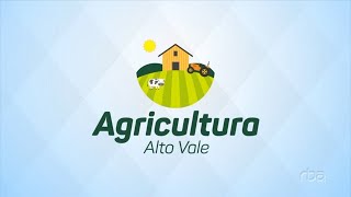 Agricultura Alto Vale – Ed. 14/12/2024