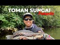 Casting Toman Sungai Penarik | Lesen Pertama rempit pon kasi jalan JANJI TAK Kumpaw !!