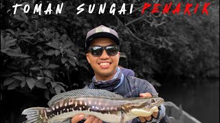 Casting Toman Sungai Penarik | Lesen Pertama rempit pon kasi jalan JANJI TAK Kumpaw !! #toman