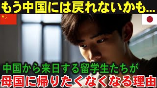 【海外の反応】「もう中国には戻れないかも...」日本に来た中国人留学生が母国へ帰りたくなくなる理由とは？中国人大学生フーの気付き、日本で見た真実の世界 とは