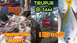 Tirupur@3am||Tirupur fish market||1kg fish=60₹! || திருப்பூர் மீன் மார்க்கெட்👍