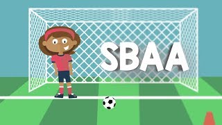 Product Overview: School-Based Activity Accounting