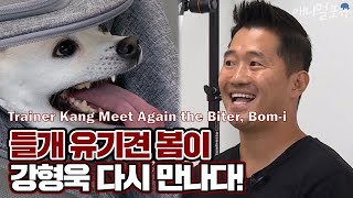 Trainer Kang Meet Again the Biter, Bom-i [Dogs Are Incredible]