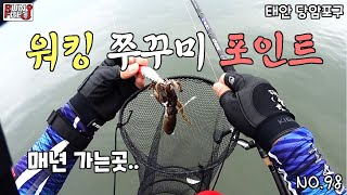 [피드백98화] 워킹쭈꾸미 (in당암포구) salt Lure Fishing