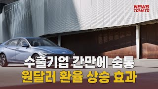 환율 상승에 수출기업 숨통 [말하는 기자들_산업_0314]