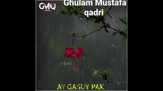 ghulam Mustafa qadri  new whatsaap staus