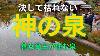 【京都 神泉苑】 東寺真言宗 平安京遷都 桓武天皇 禁苑 五位鷺 恵方社 静御前 弘法大師 善女竜王 神社仏閣巡り 御朱印