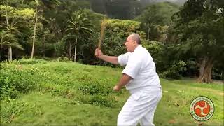 Hanshi Lindquist Tanbo demo