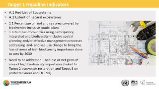 Webinar: Integrated spatial planning