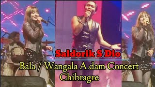 Bala || Saldorik S Dio // Chibragre Concert.