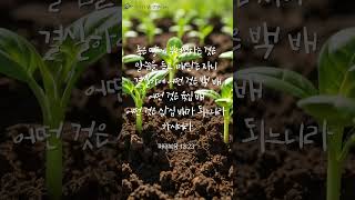 좋은 땅에 뿌려졌다는 것은 말씀을 듣고 깨닫는 자니 /마태복음 13:23 / #매일 한 구절 말씀 묵상(암송) #성경낭독 #오디오성경 #날마다 입는 성경의 은혜