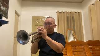 SUNSHINE ON MY SHOULDER -  John Denver (Trumpet) cover