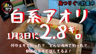 白系アオリのモンスター！2.8キロ【石垣島ランガンエギング】大浜将