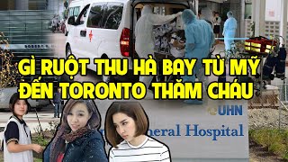 A1219 - DÌ RUỘT THU HÀ BAY TỪ MỸ ĐẾN TORONTO CHĂM SÓC CHÁU