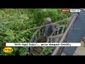 அழிந்து வரும் மூலிகை பாதுகாக்கும் சுற்றுசூழல் ஆர்வலர் herbs protecting environmentalist