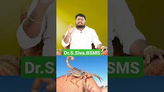 தேள் கடிக்கு மருந்து | First Aid for Scorpion bite in Tamil | Dr.S.Siva BSMS | Siddha Doctor | Tips