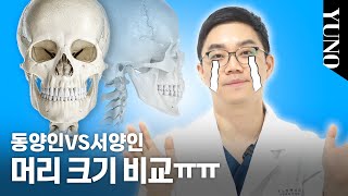 동양인VS서양인 머리크기 비교 | 전문의가 바라보는 윤곽에 대한 팩트체크 | 유노성형외과 김신영 원장