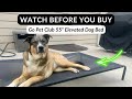 My Honest 5 Year Review of this Elevated Dog Bed Perfect for Summer!